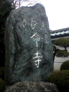 100323_1046~001.jpg