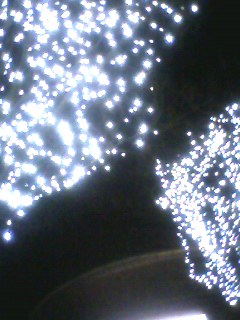 091218_2117~002.jpg