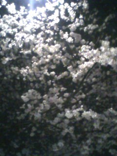 100404_1834~001.jpg
